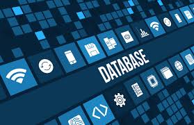 Essential Tips on SQL Server Database Performance - Database ...